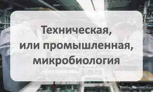 Техническая, или промышленная, микробиология