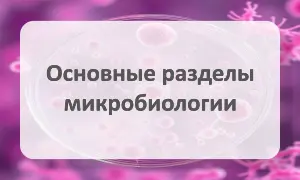 Основные разделы микробиологии