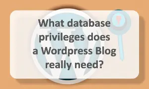 Database privileges a Wordpress blog has